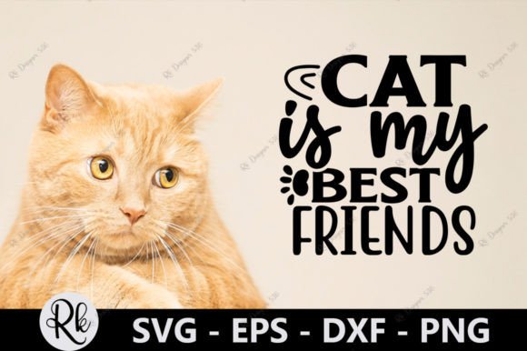 Cat is My Best Friends Embroidery Design Review