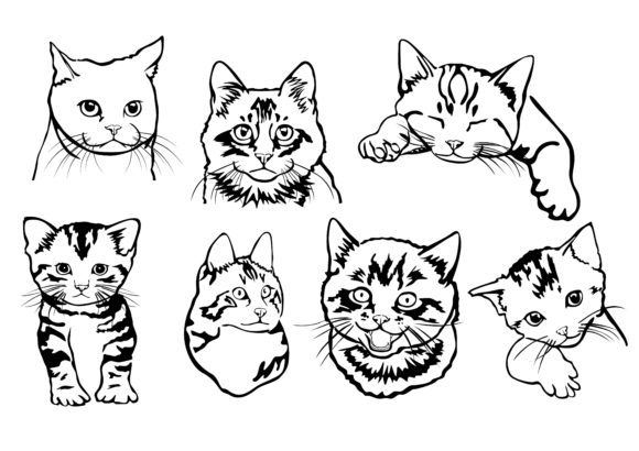 Collection Cat Vector with Lineart Style Review
